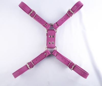Playdate Chest Harness pink bondage by ASLAN Leather